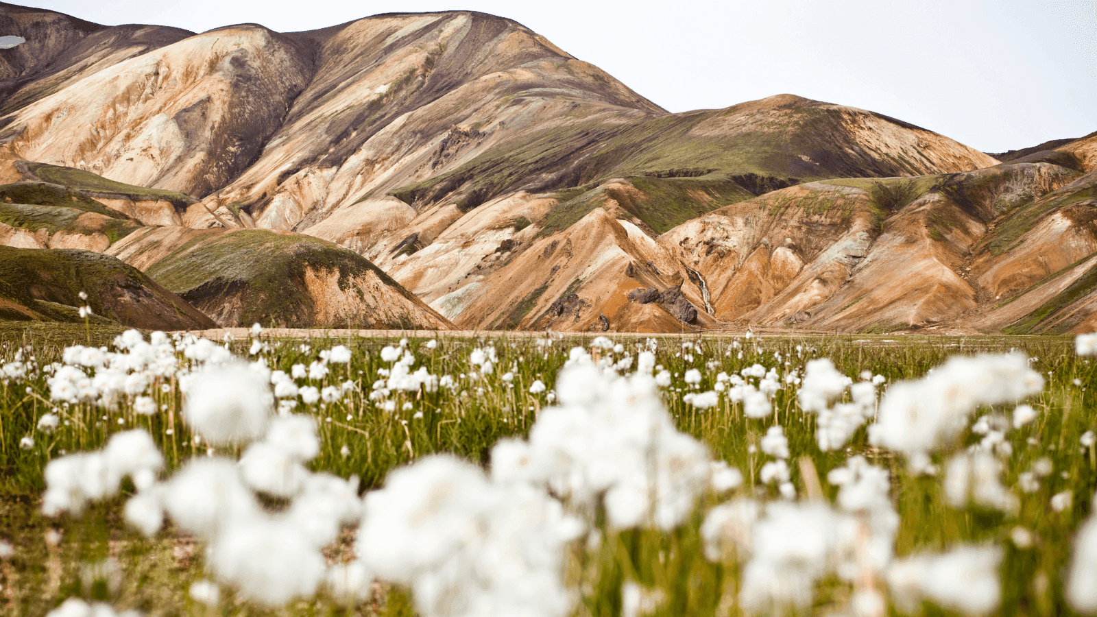 Exploring the Icelandic Highlands