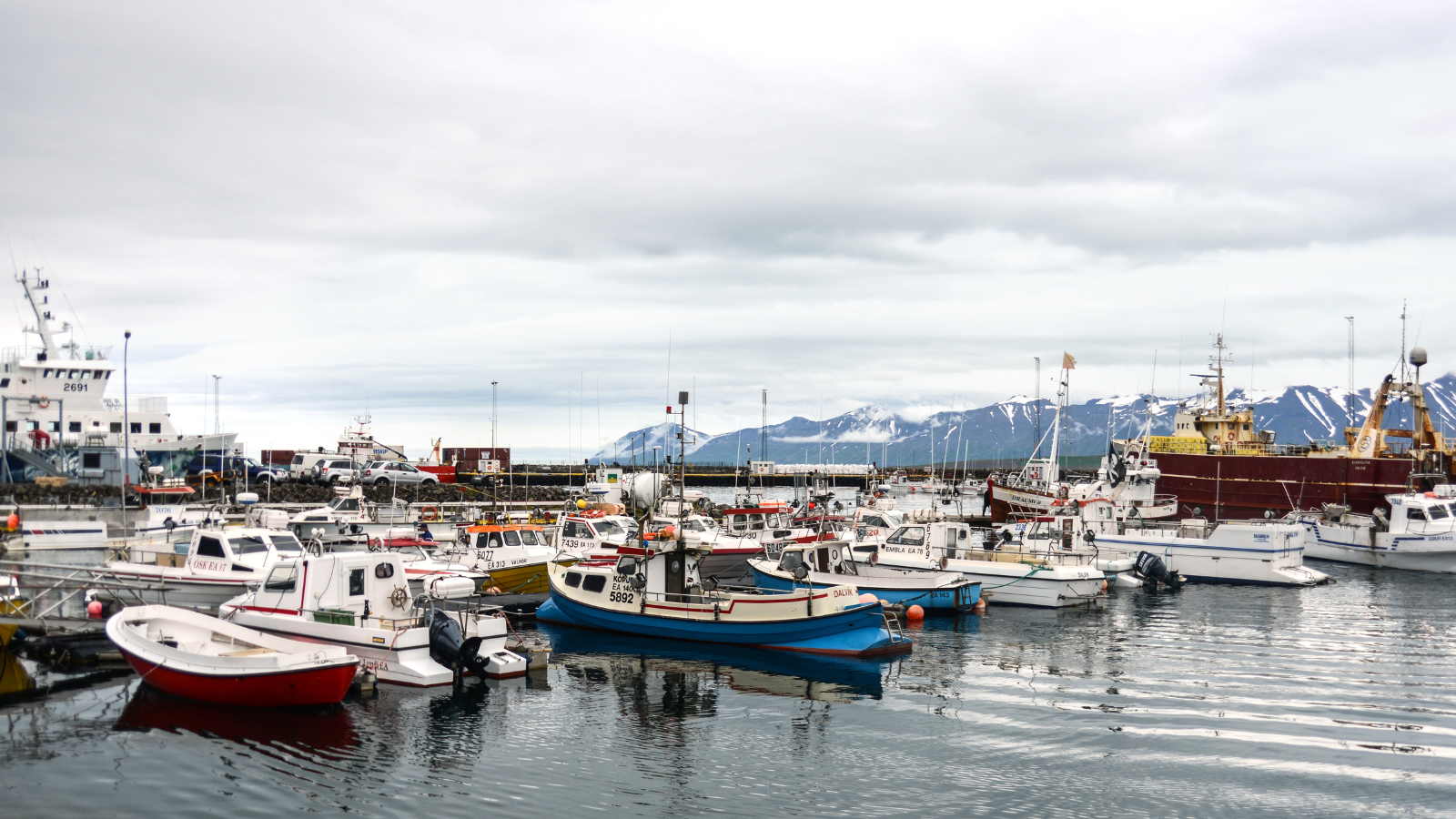 Colorful boats at Dalvík harbor in Iceland.