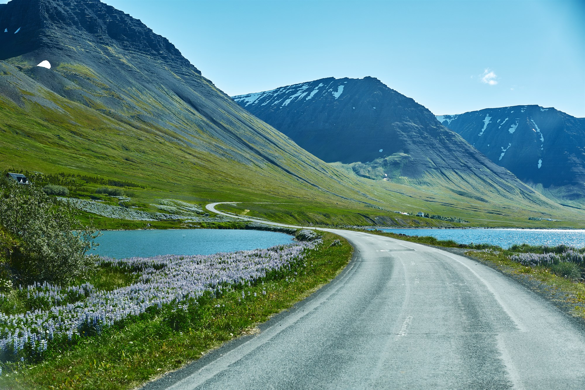 Guide to the Westfjords