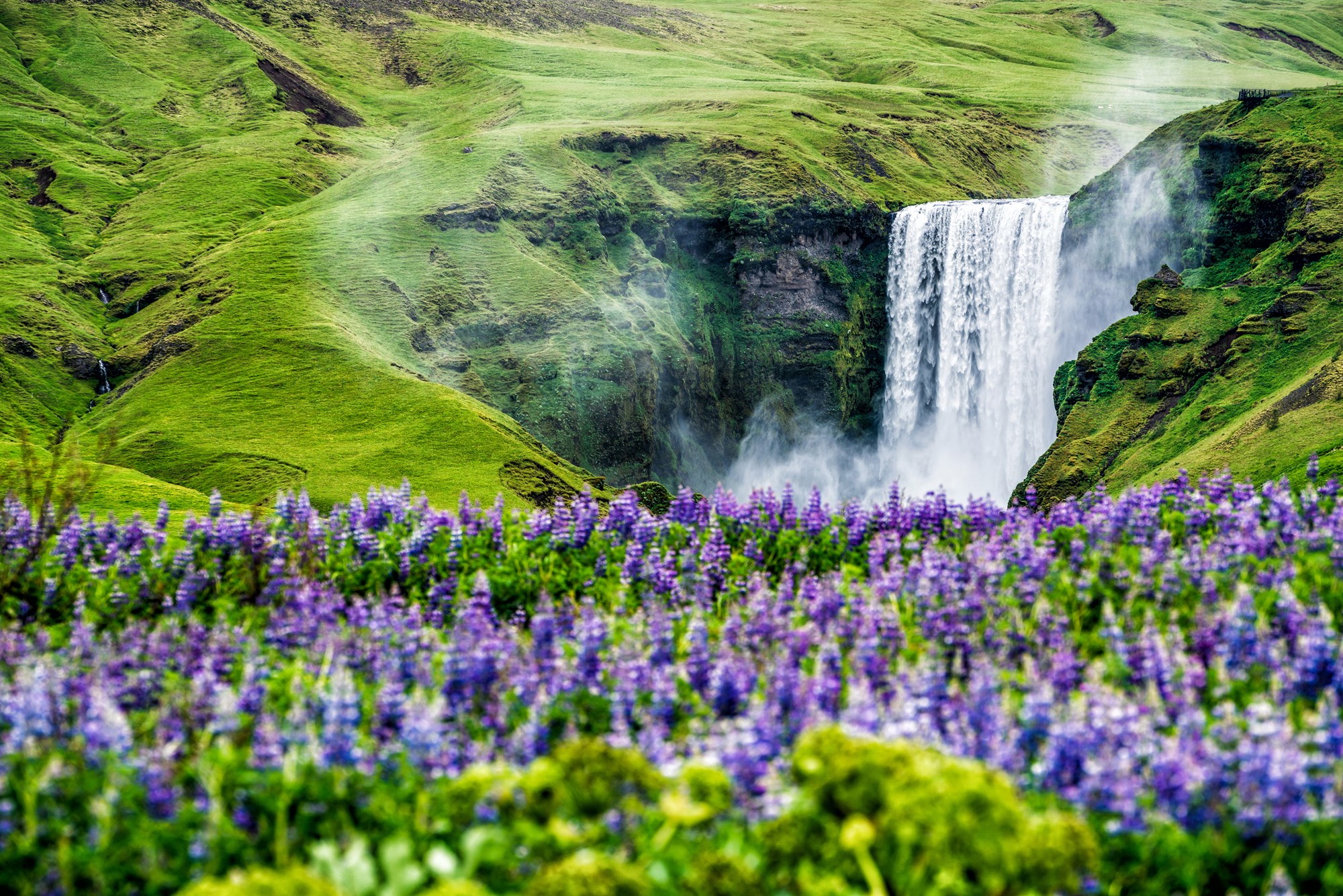 How to Respect Nature in Iceland | Reykjavik Rent a