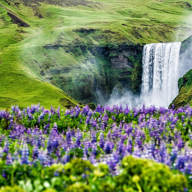 How to Respect Nature in Iceland
