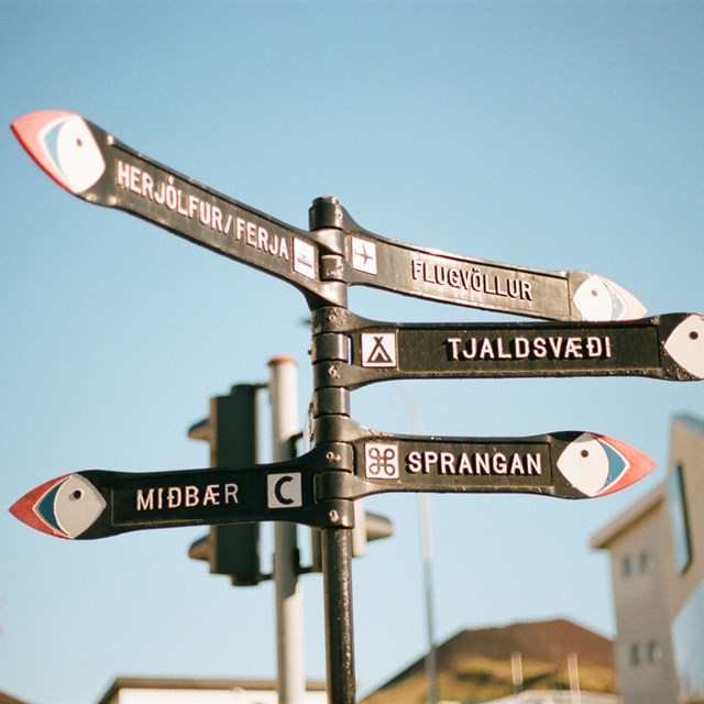 10 Common Phrases in Icelandic You Should Learn Before You Visit