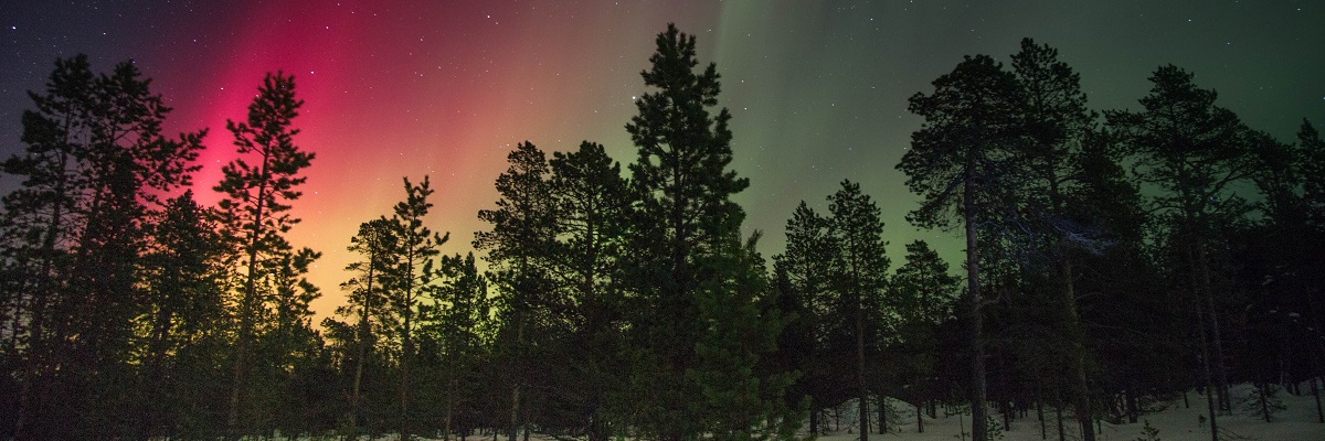 northern lights