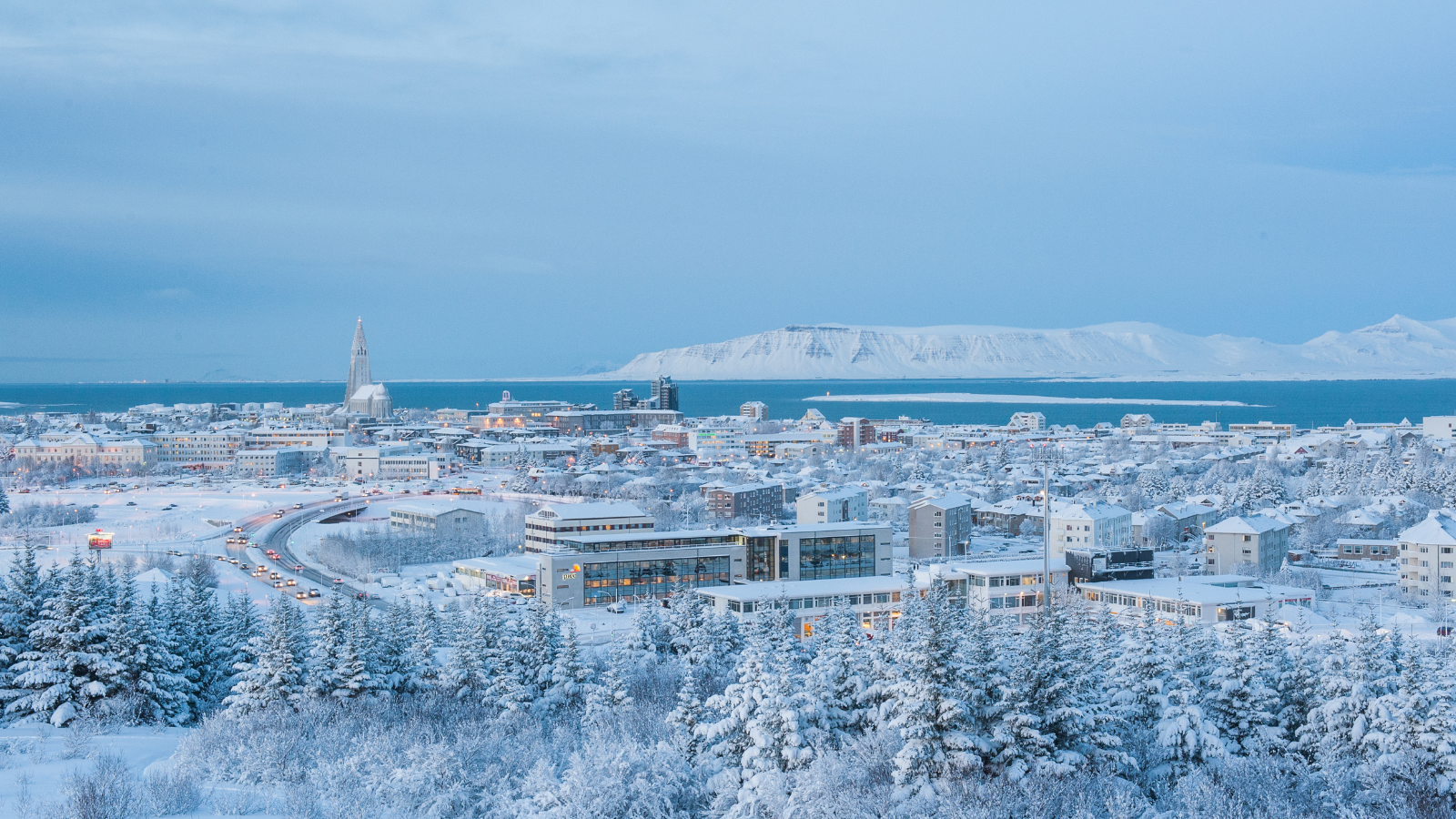 Reykjavik covered in snow.