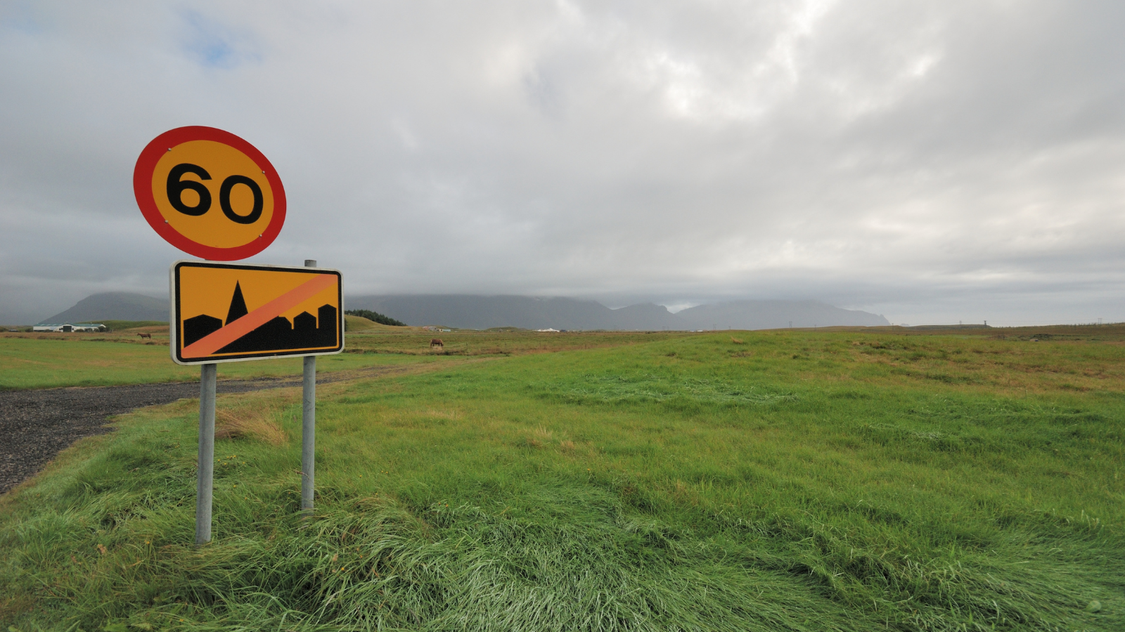 Speed limit sign at the side of the road in Iceland.