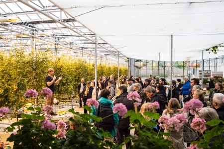 Visit to Fridheimar tomato farm atrium (photo from fridheimar.is)